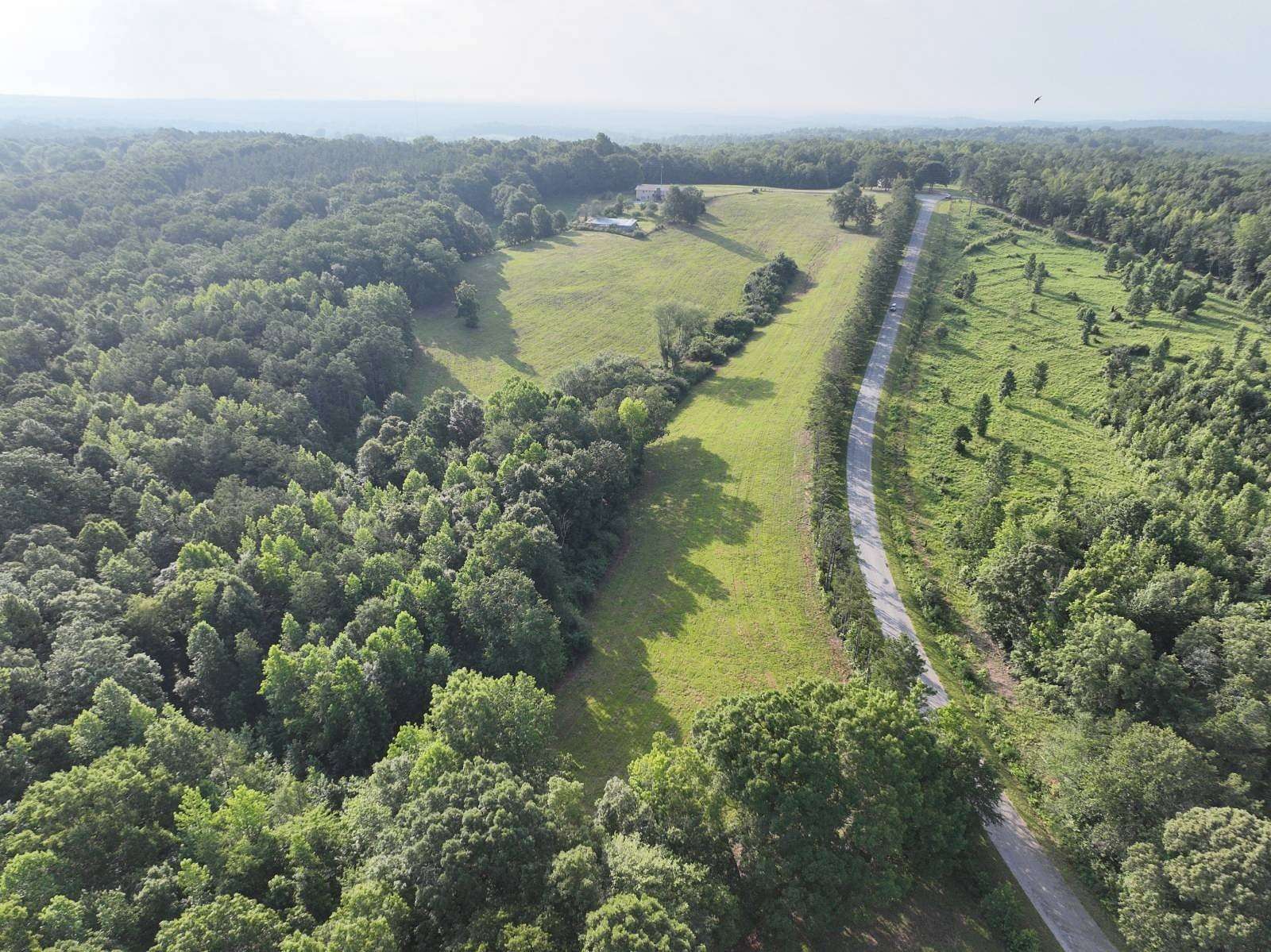 25 Acres of Land for Sale in Roanoke, Alabama