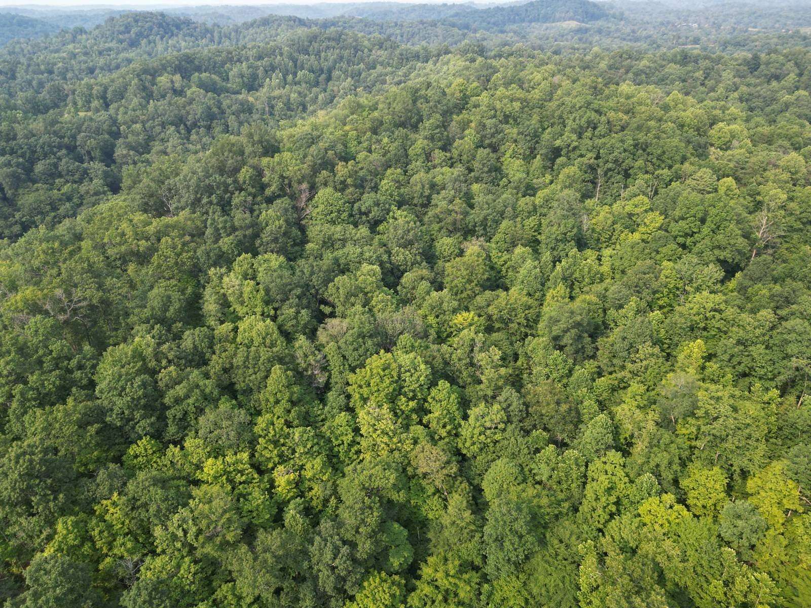 64 Acres of Recreational Land for Sale in Walton, West Virginia