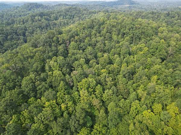 64 Acres of Recreational Land for Sale in Walton, West Virginia