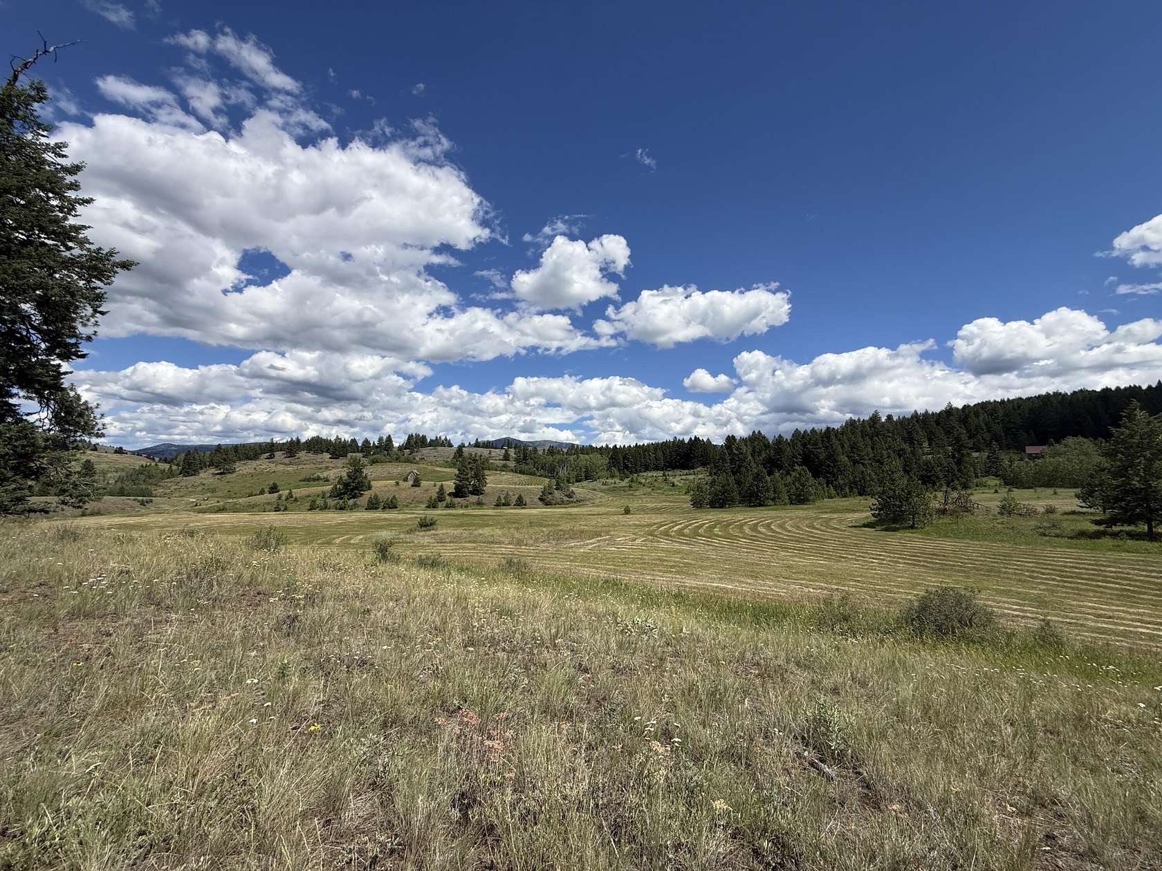 20.8 Acres of Recreational & Residential Land for Sale in Republic, Washington