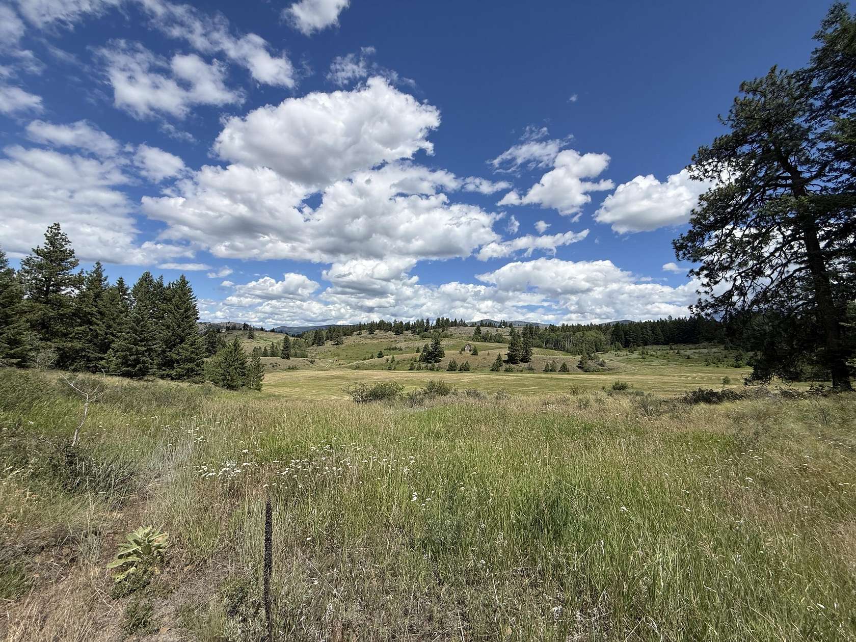 20.8 Acres of Recreational & Residential Land for Sale in Republic, Washington