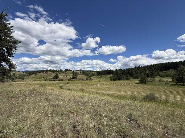 20.8 Acres of Recreational & Residential Land for Sale in Republic, Washington