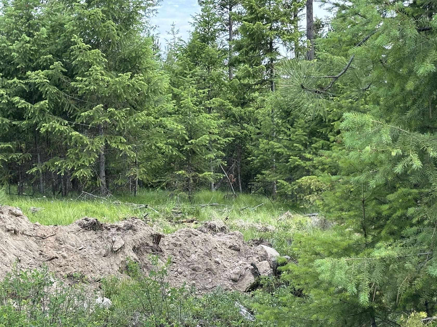 3 Acres of Land for Sale in Republic, Washington