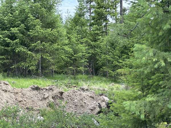 3 Acres of Land for Sale in Republic, Washington