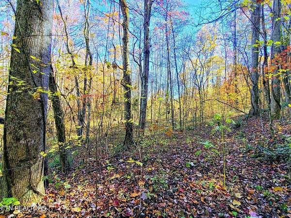 20 Acres of Land for Sale in Rocky Top, Tennessee