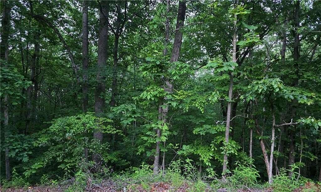 1.6 Acres of Residential Land for Sale in Cartersville, Georgia