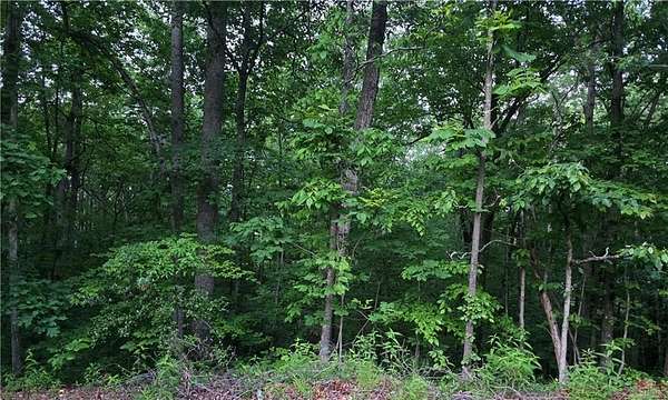 1.6 Acres of Residential Land for Sale in Cartersville, Georgia