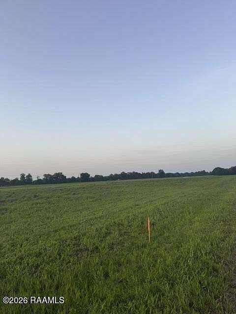 1 Acre of Residential Land for Sale in Arnaudville, Louisiana