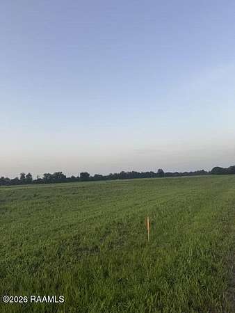 1 Acre of Residential Land for Sale in Arnaudville, Louisiana