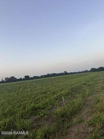 1.18 Acres of Residential Land for Sale in Arnaudville, Louisiana