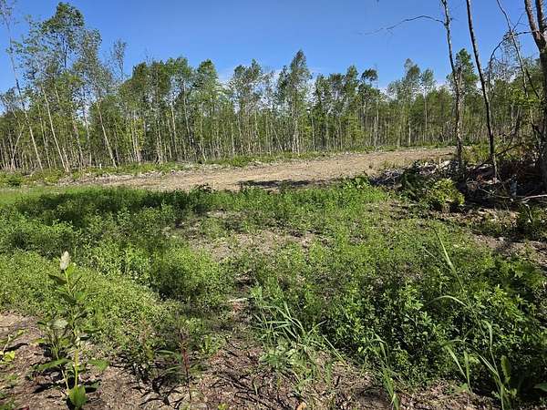 47 Acres of Recreational Land for Sale in Amity Town, Maine