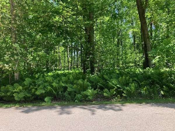 1 Acre of Land for Sale in Alanson, Michigan