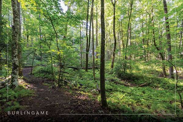 1.27 Acres of Residential Land for Sale in Sapphire, North Carolina