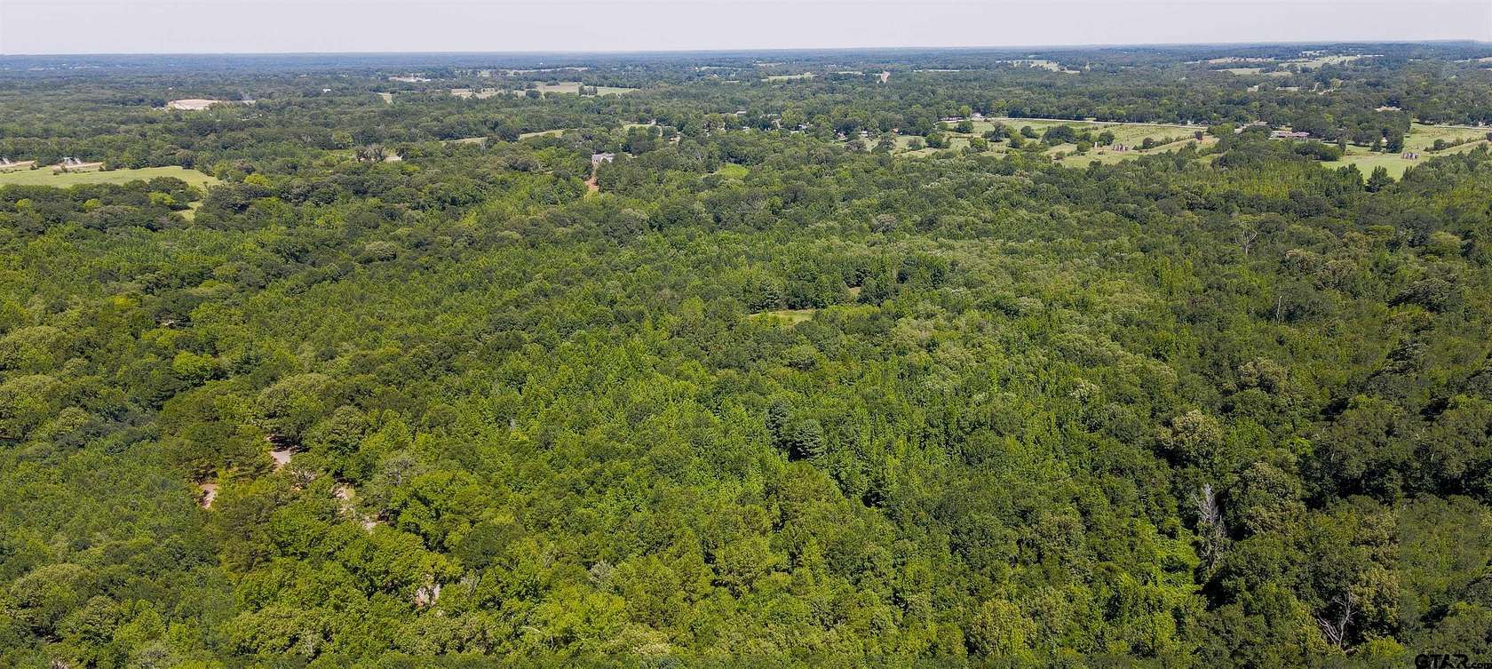 77.8 Acres of Recreational & Residential Land for Sale in Mineola, Texas