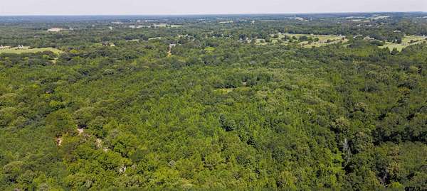 77.8 Acres of Recreational & Residential Land for Sale in Mineola, Texas