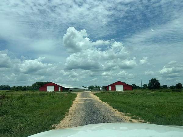 40 Acres of Agricultural Land for Sale in Ovett, Mississippi