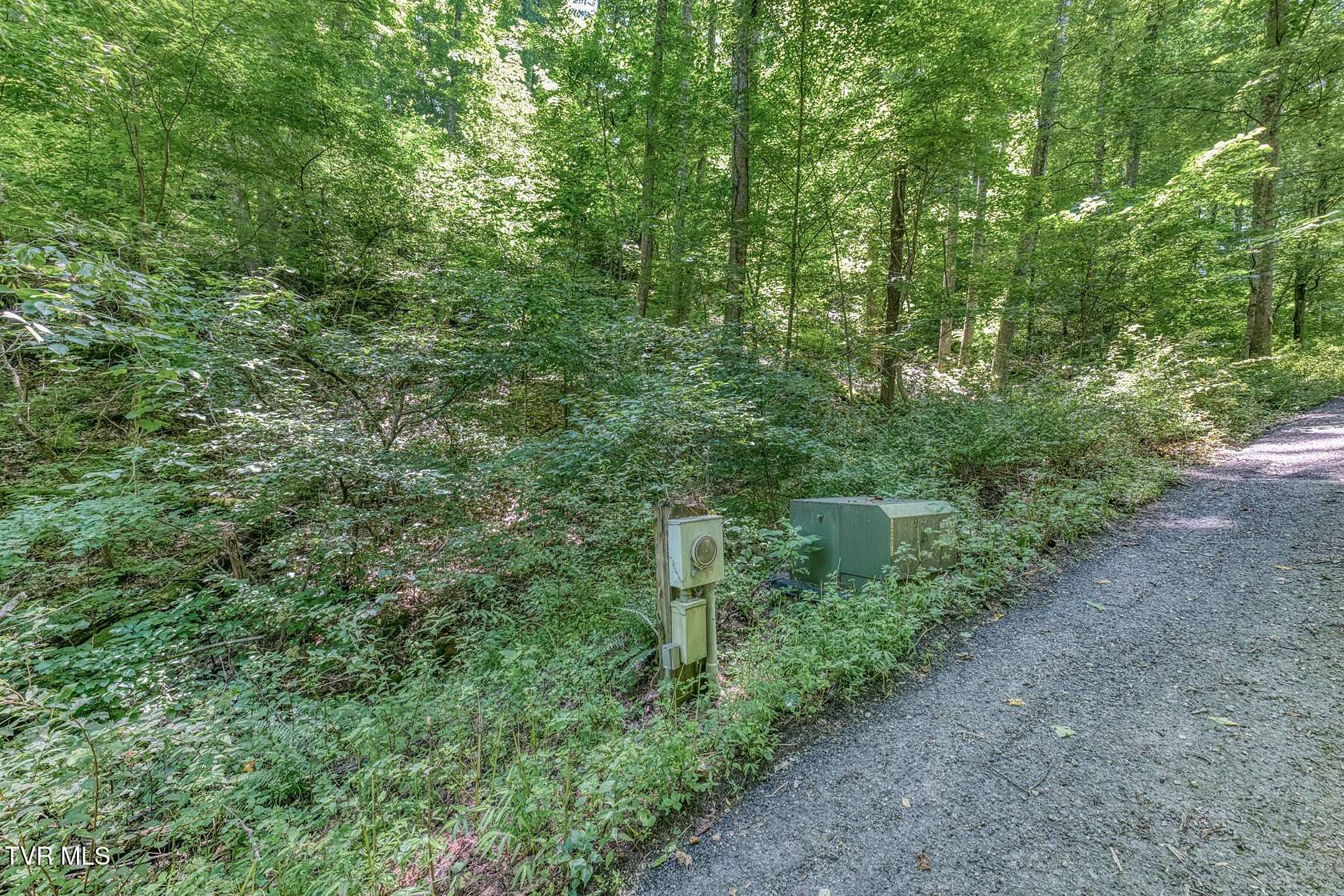 1.42 Acres of Residential Land for Sale in Butler, Tennessee