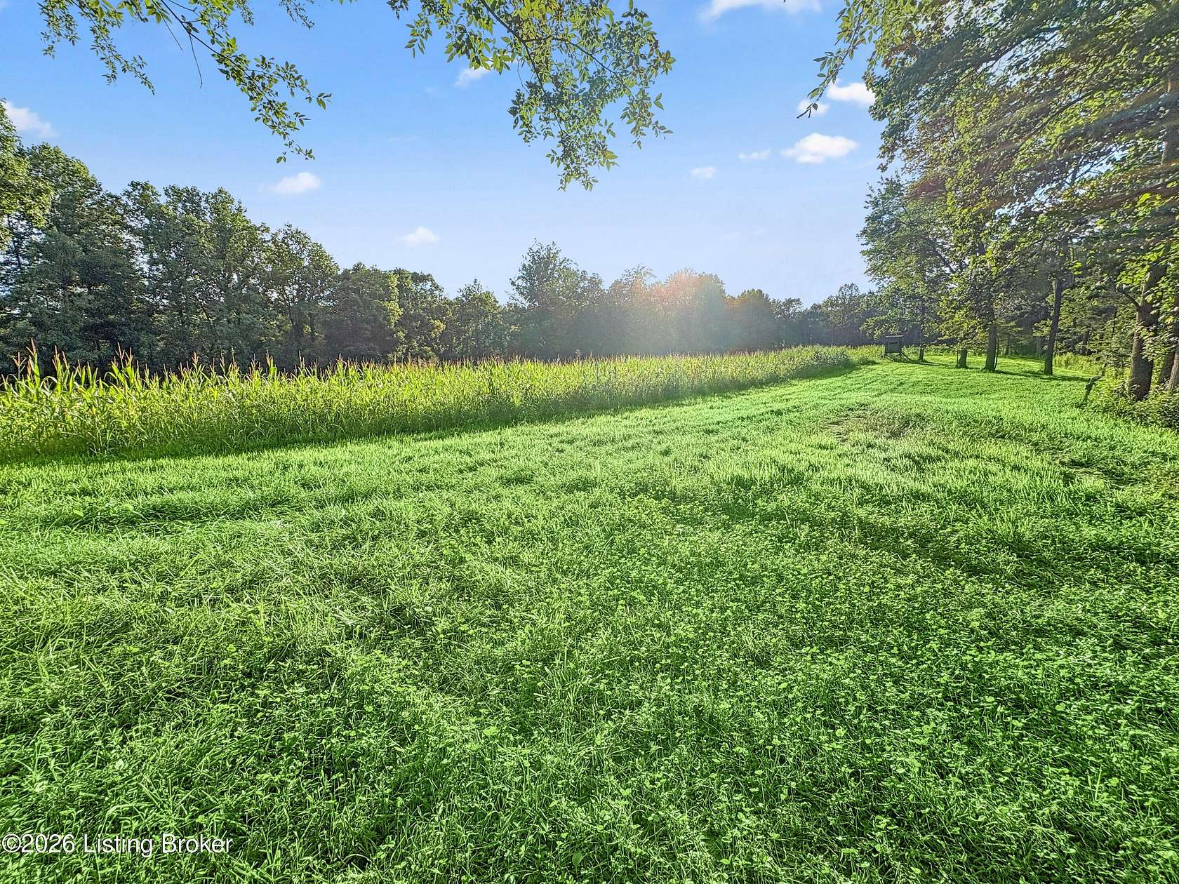 36.9 Acres of Land for Sale in Munfordville, Kentucky