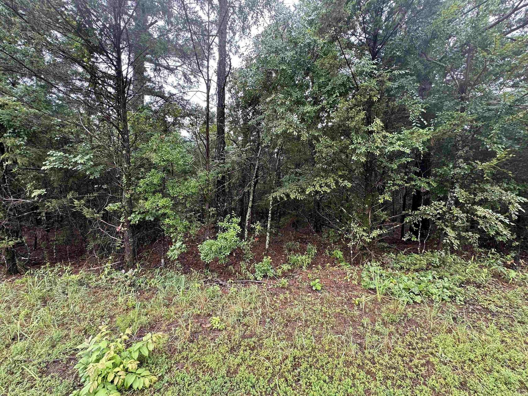 23 Acres of Recreational & Residential Land for Sale in Booneville, Arkansas