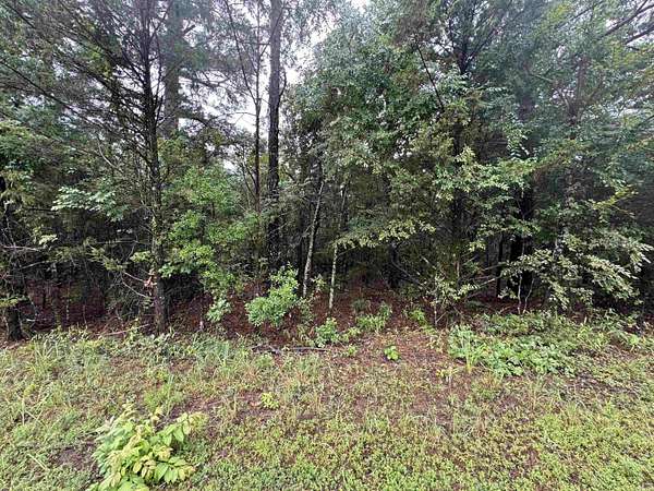 23 Acres of Recreational & Residential Land for Sale in Booneville, Arkansas