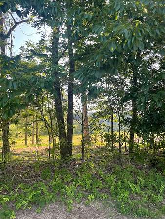 0.3 Acres of Residential Land for Sale in Paducah, Kentucky