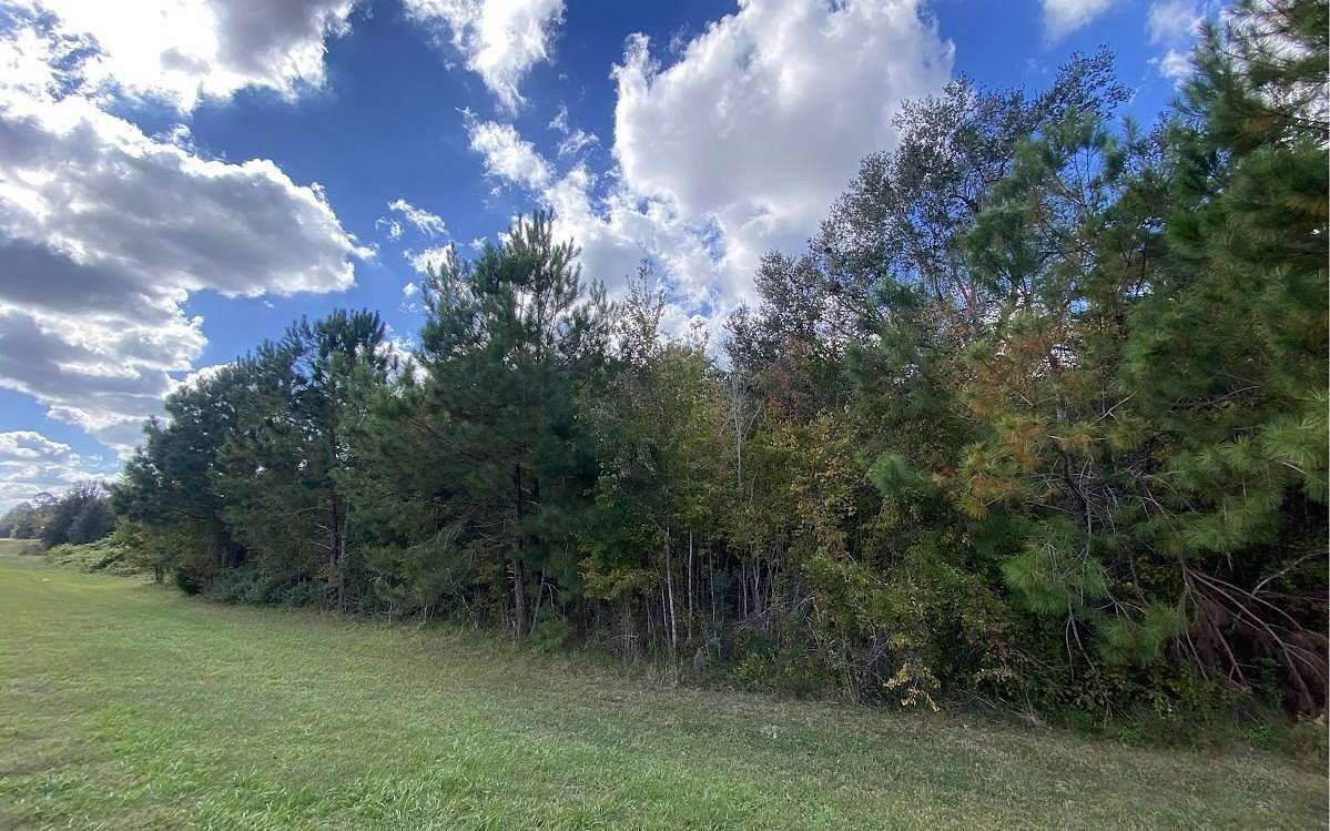 0.69 Acres of Residential Land for Sale in Lake City, Florida
