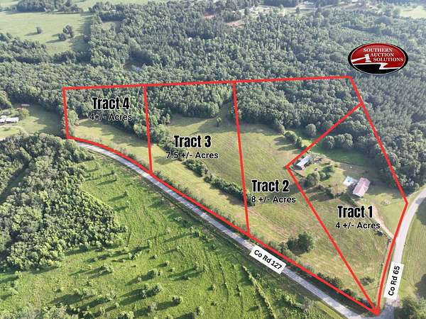 25 Acres of Land for Auction in Roanoke, Alabama