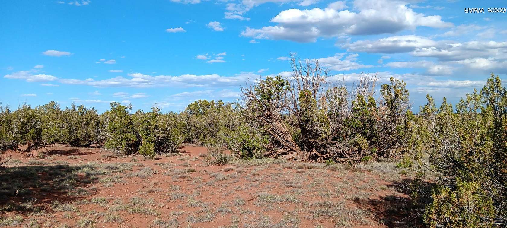 39.9 Acres of Recreational Land for Sale in Show Low, Arizona