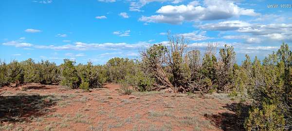 39.9 Acres of Recreational Land for Sale in Show Low, Arizona