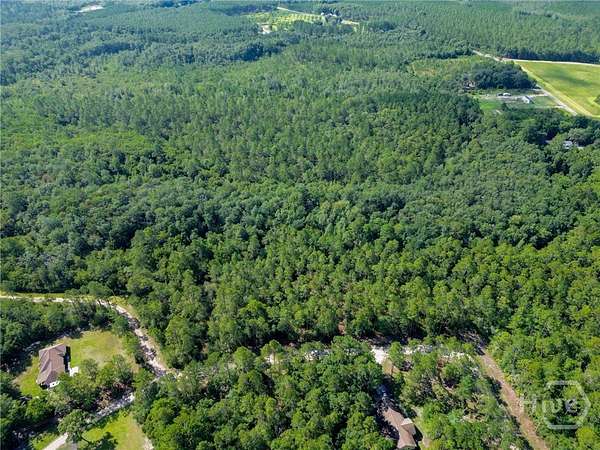 38.8 Acres of Recreational & Residential Land for Sale in Hinesville, Georgia