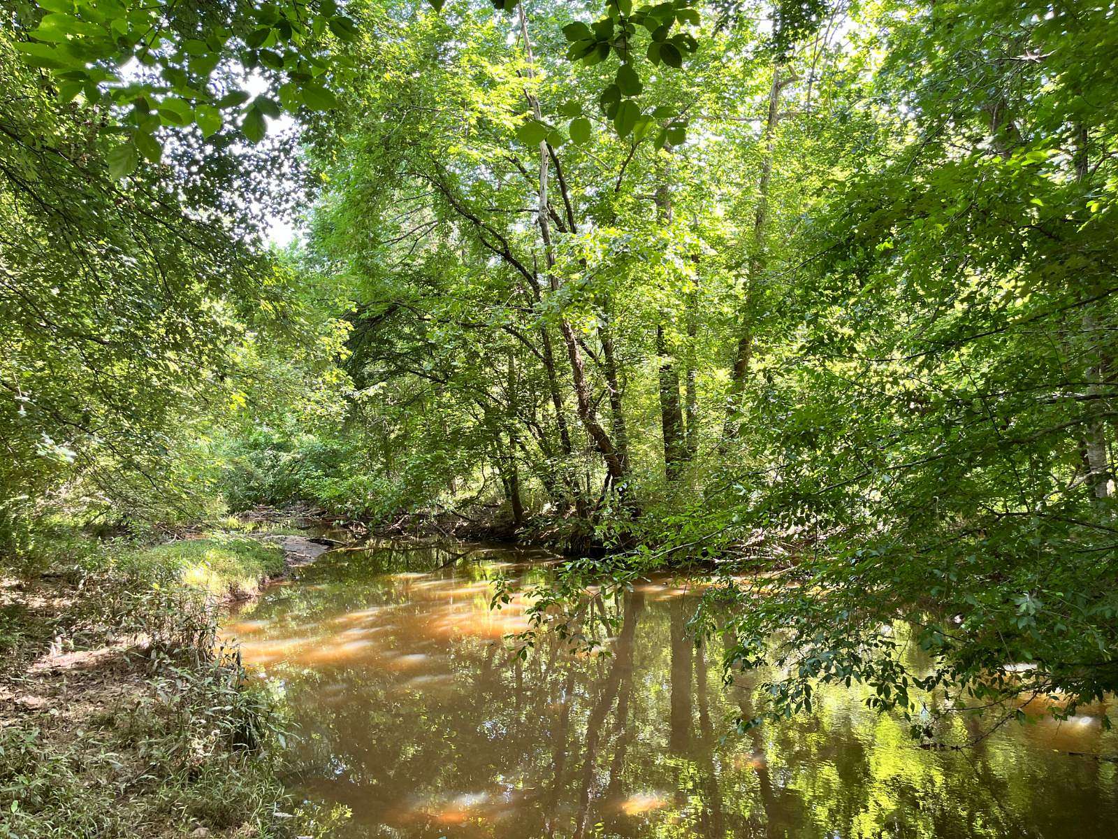 166 Acres of Land for Sale in Greenwood, South Carolina