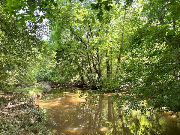 166 Acres of Land for Sale in Greenwood, South Carolina