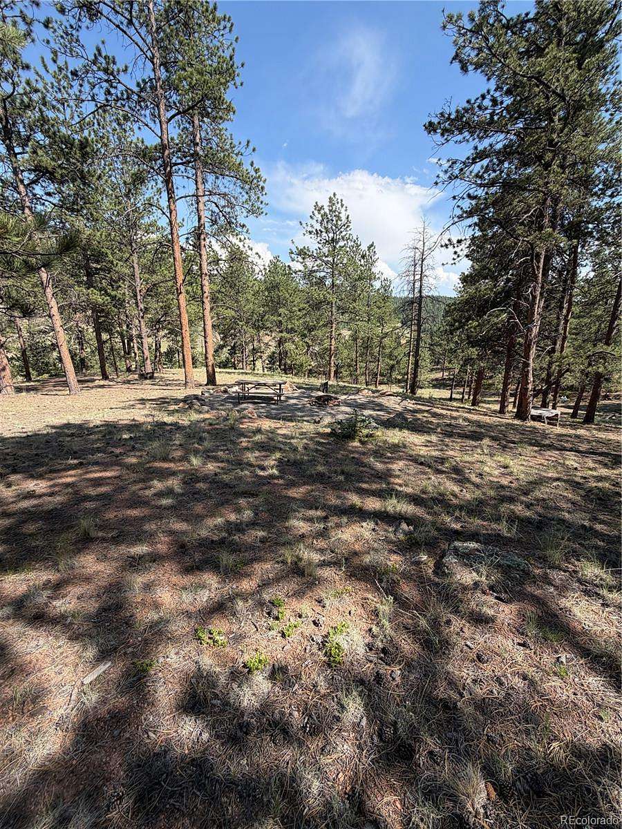 4 Acres of Residential Land for Sale in Florissant, Colorado