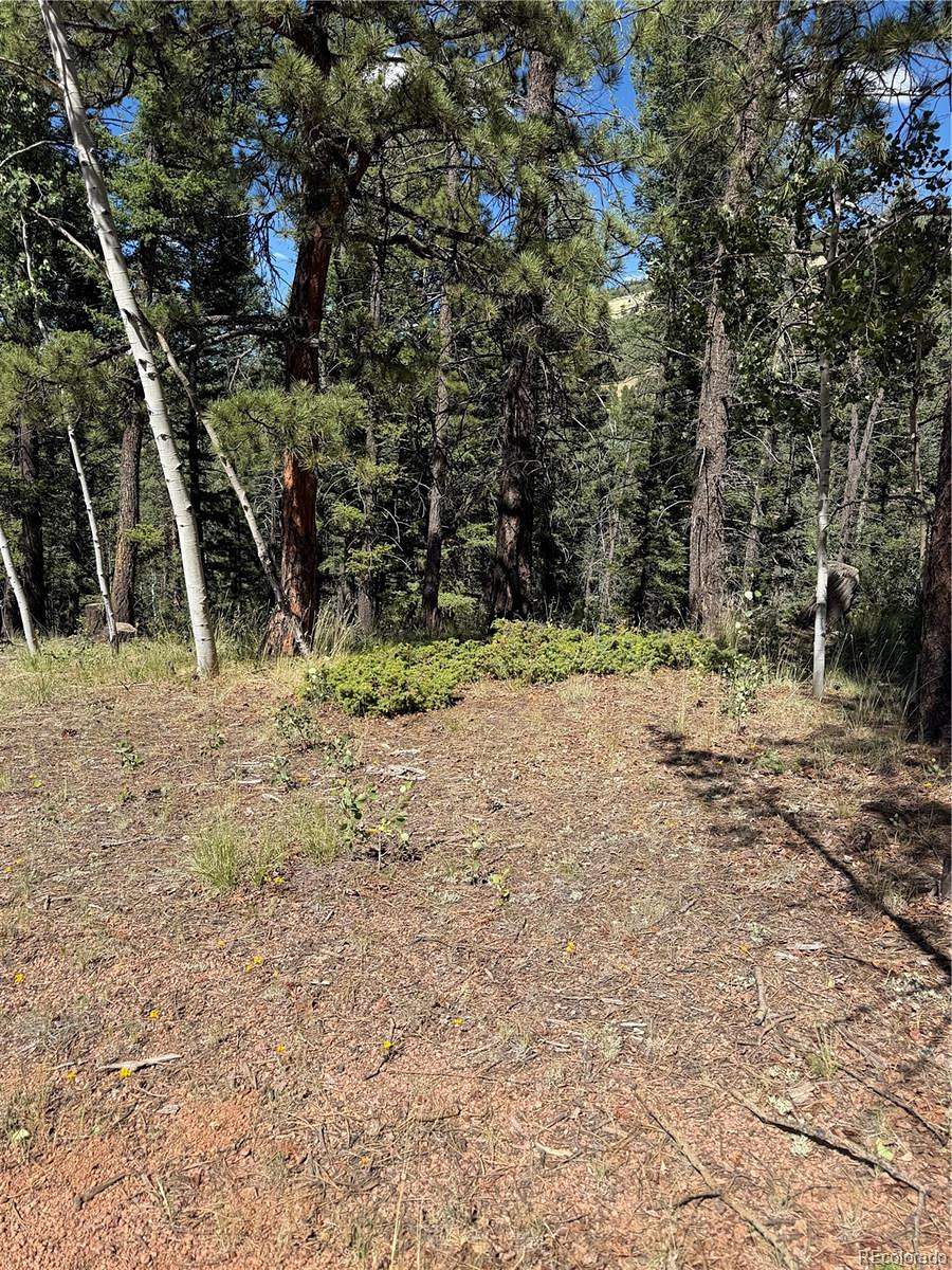 0.93 Acres of Residential Land for Sale in Cripple Creek, Colorado