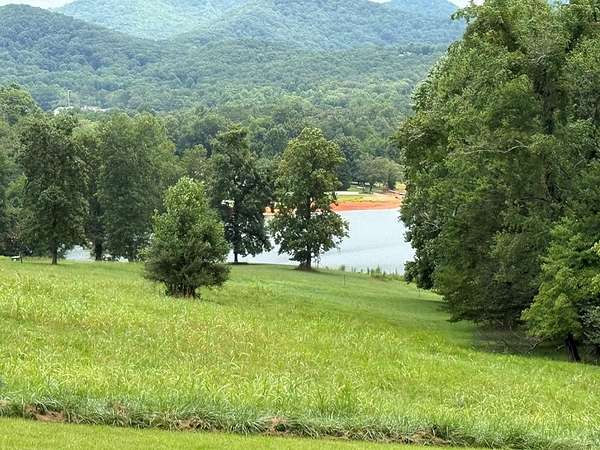 1 Acre of Residential Land for Sale in Blairsville, Georgia