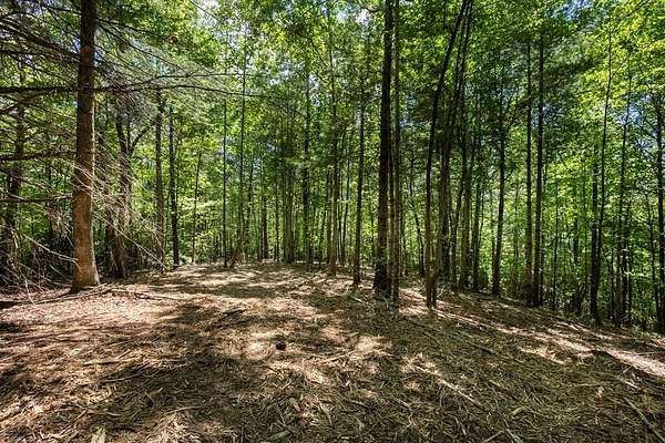 4 Acres of Residential Land for Sale in Murphy, North Carolina