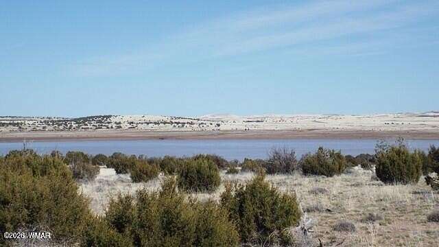 36.7 Acres of Recreational & Residential Land for Sale in Concho, Arizona