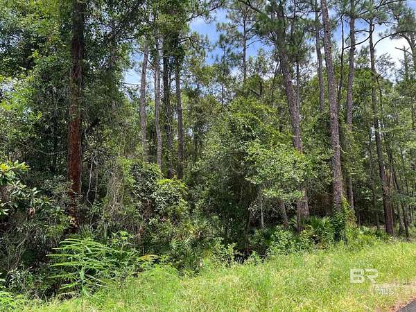 0.3 Acres of Land for Sale in Gulf Shores, Alabama