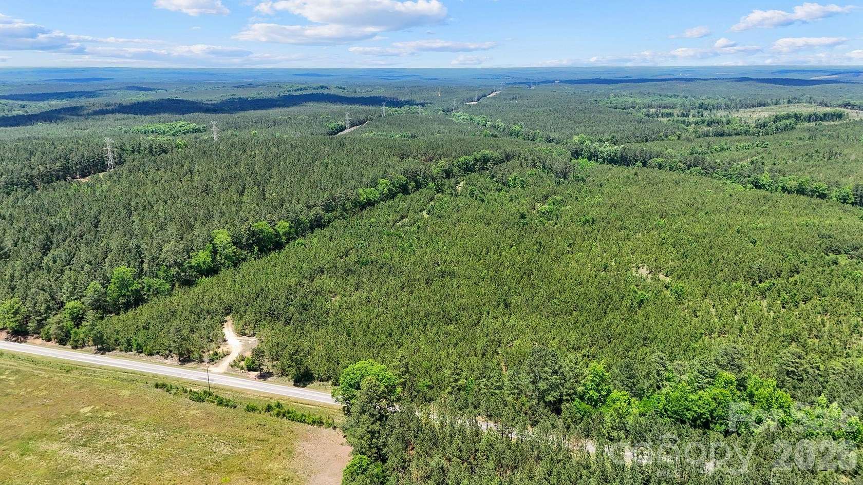 36 Acres of Land for Sale in Carlisle, South Carolina