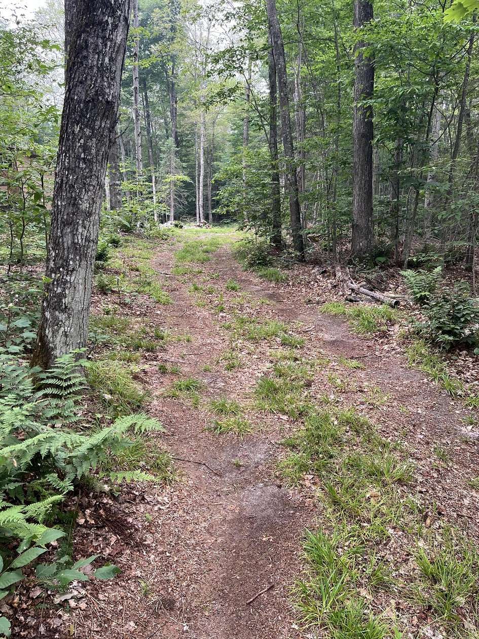 10 Acres of Recreational Land for Sale in Newberry, Michigan