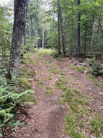 10 Acres of Recreational Land for Sale in Newberry, Michigan