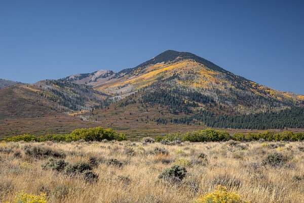 6.35 Acres of Residential Land for Sale in La Sal, Utah