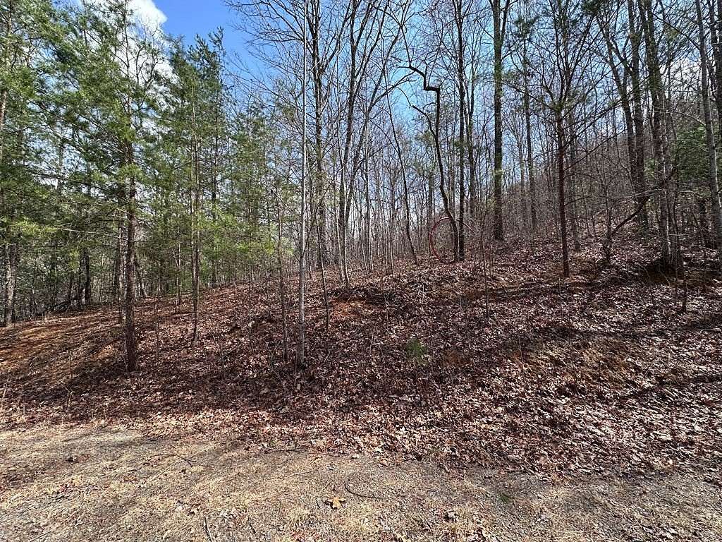 40.3 Acres of Recreational Land for Sale in Murphy, North Carolina