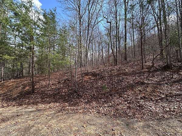 40.3 Acres of Recreational Land for Sale in Murphy, North Carolina