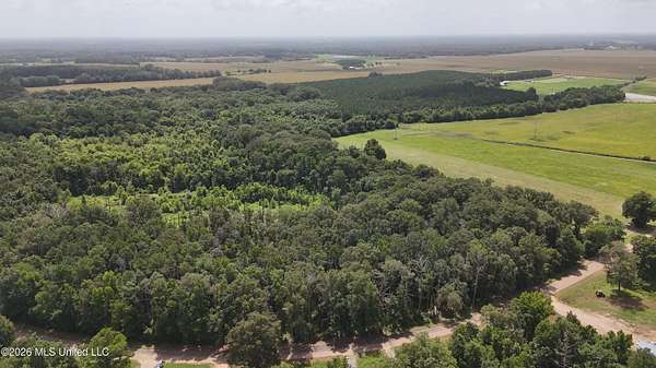 7 Acres of Residential Land for Sale in Lena, Mississippi