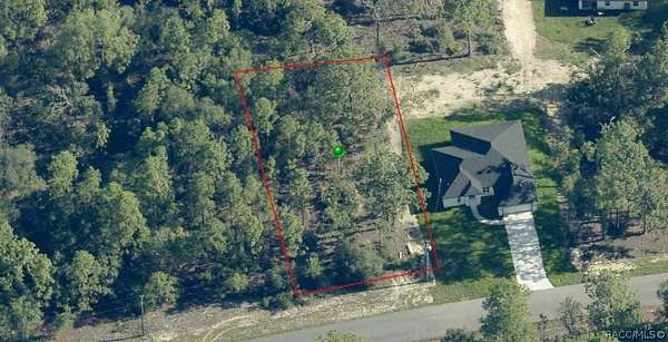 0.29 Acres of Residential Land for Sale in Dunnellon, Florida