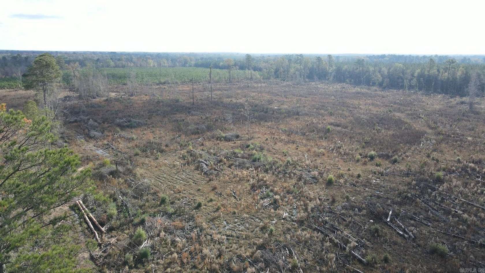 30 Acres of Land for Sale in Hamburg, Arkansas
