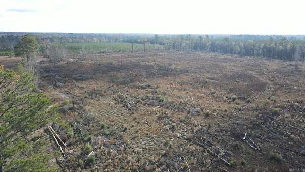 30 Acres of Land for Sale in Hamburg, Arkansas