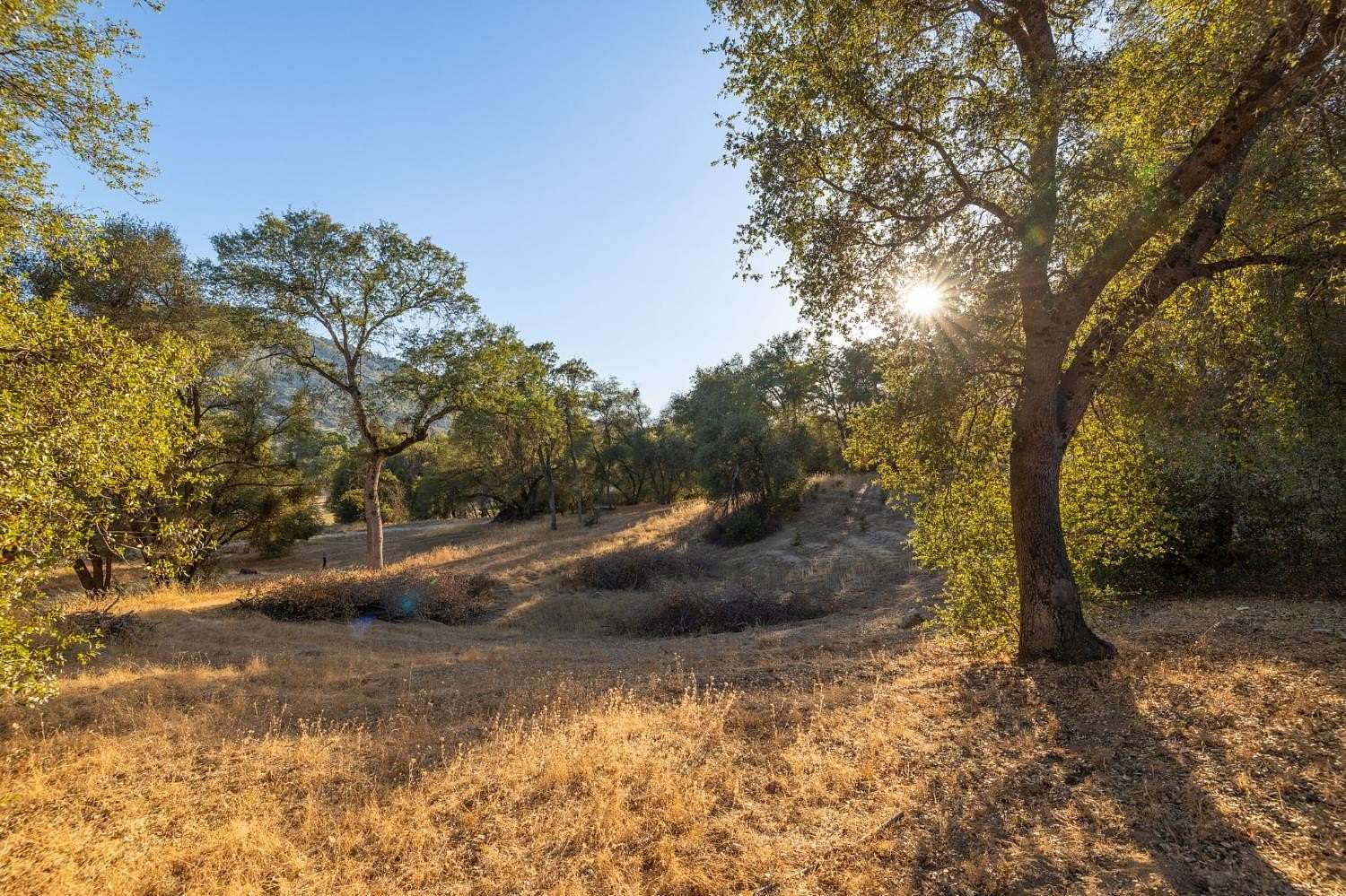 1.53 Acres of Commercial Land for Sale in Oakhurst, California