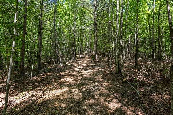 20 Acres of Recreational Land for Sale in Murphy, North Carolina